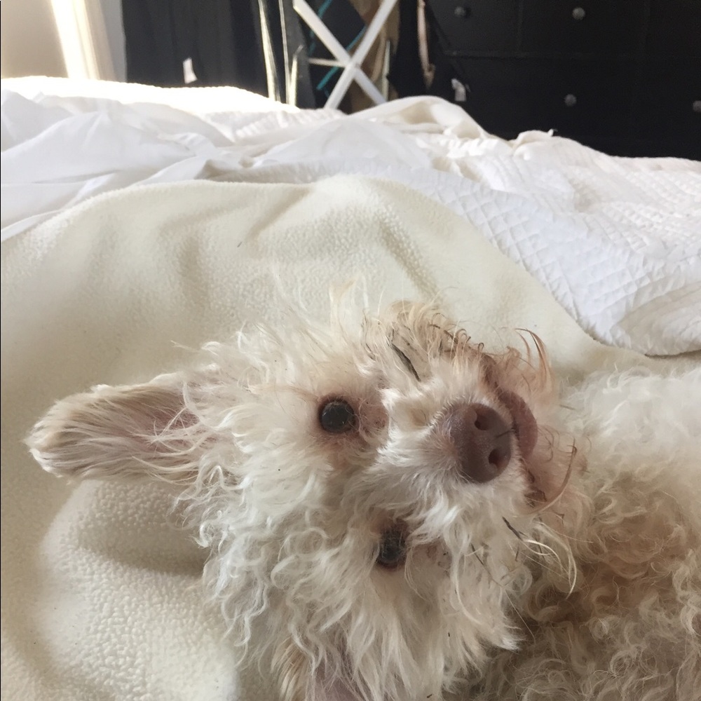 Meet your Posher, Stephanie